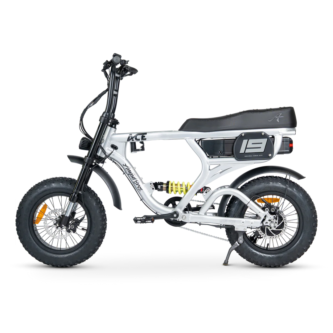 ACE-X Mini Pro Series 5 Electric Bike