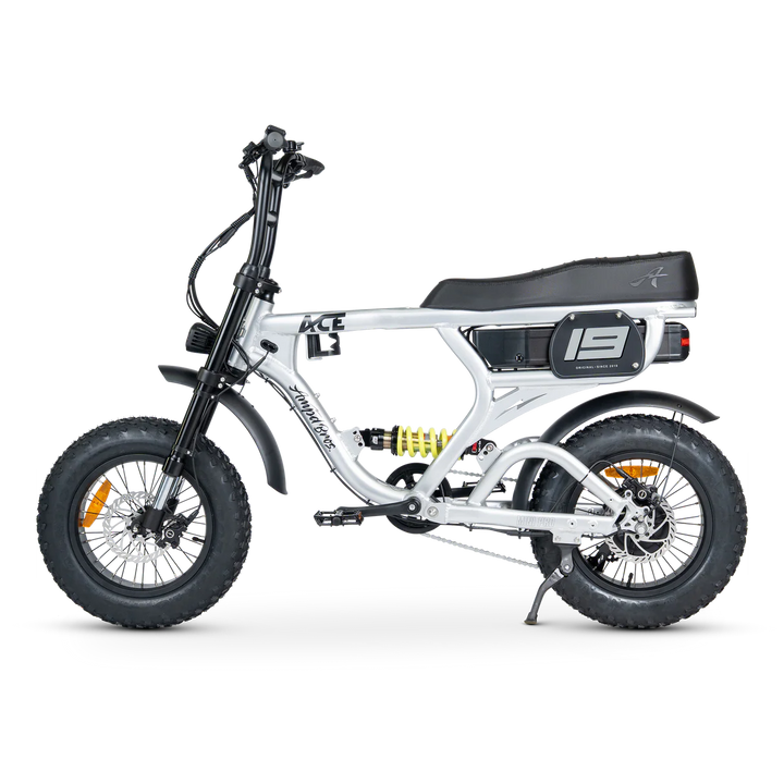 ACE-X Mini Pro Series 5 Electric Bike