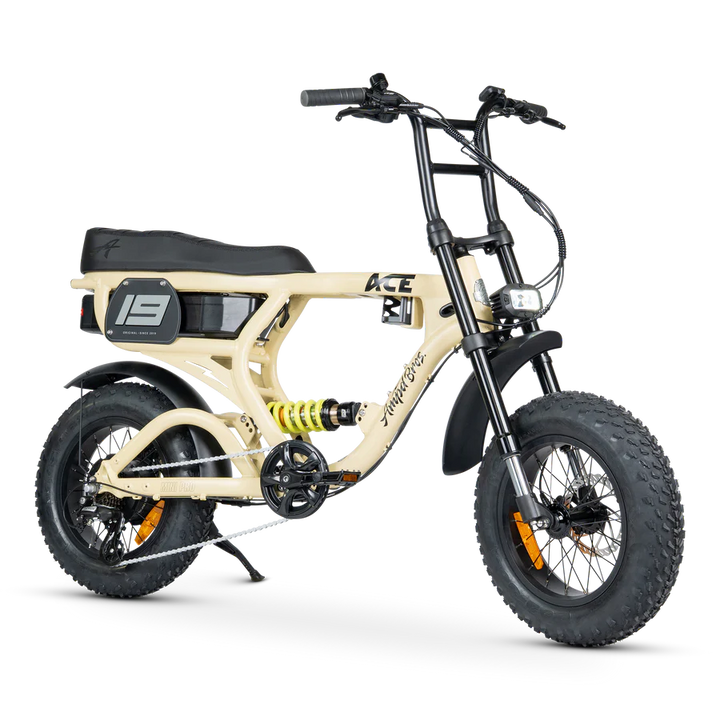 ACE-X Mini Pro Series 5 Electric Bike