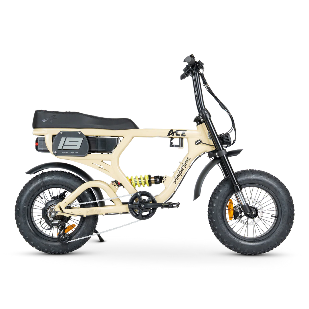ACE-X Mini Pro Series 5 Electric Bike