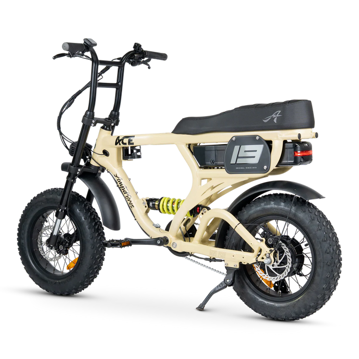 ACE-X Mini Pro Series 5 Electric Bike