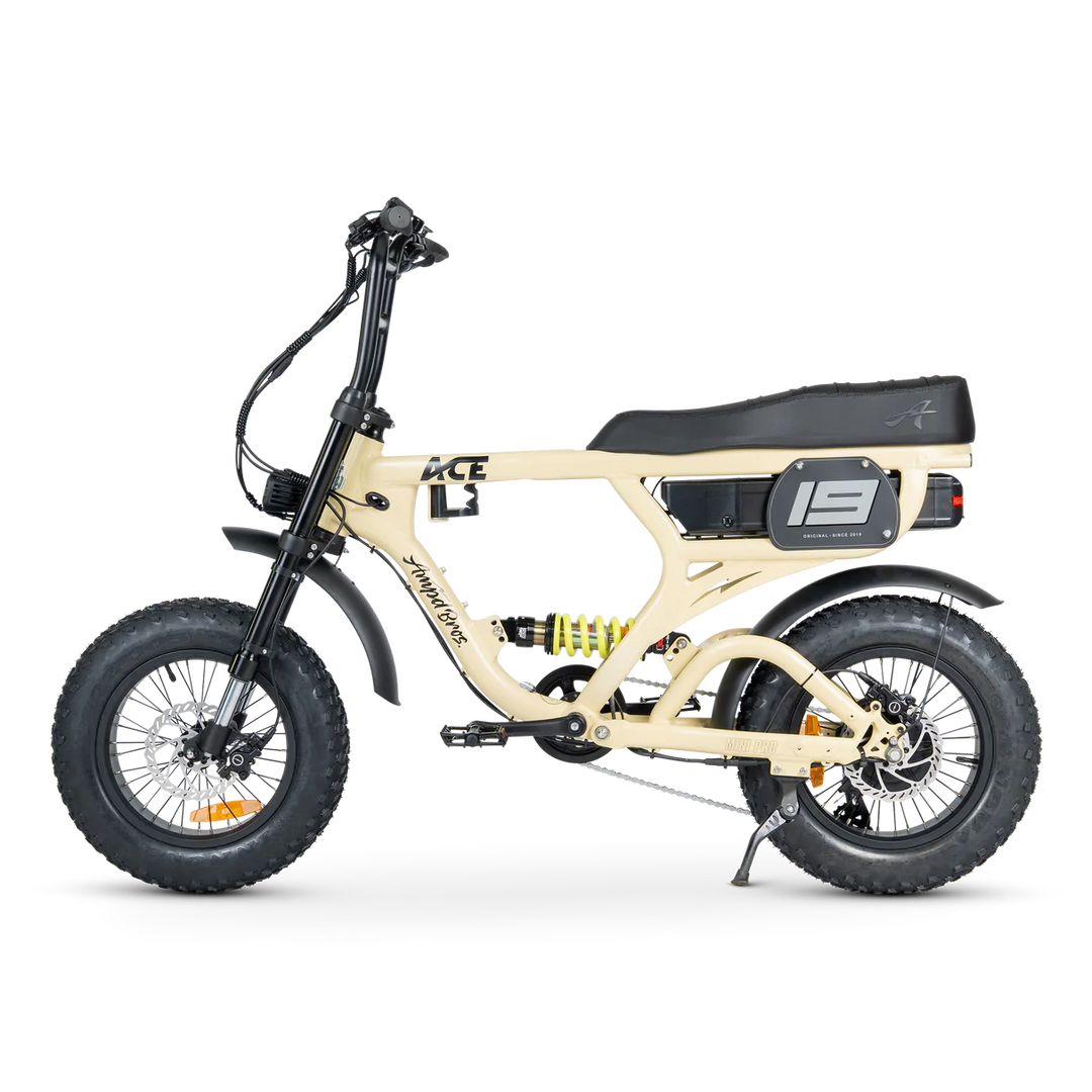ACE-X Mini Pro Series 5 Electric Bike