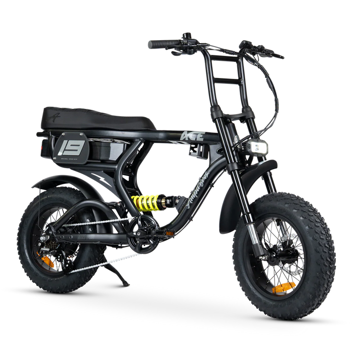 ACE-X Mini Pro Series 5 Electric Bike