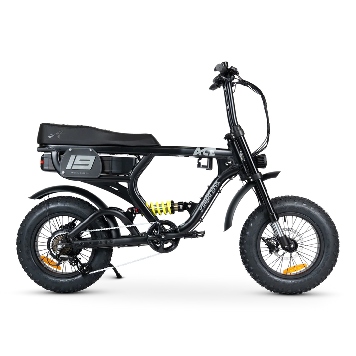 ACE-X Mini Pro Series 5 Electric Bike