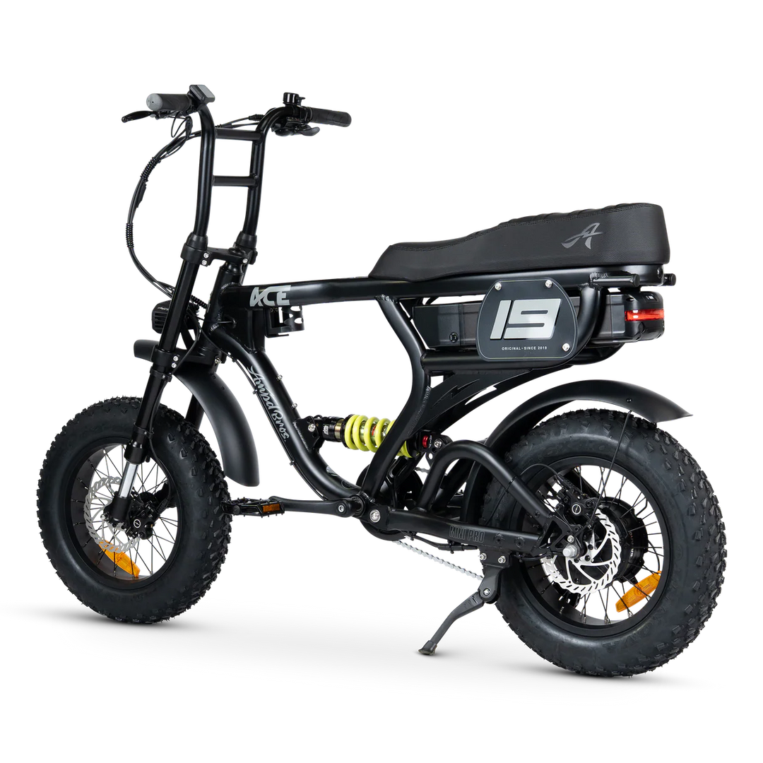 ACE-X Mini Pro Series 5 Electric Bike