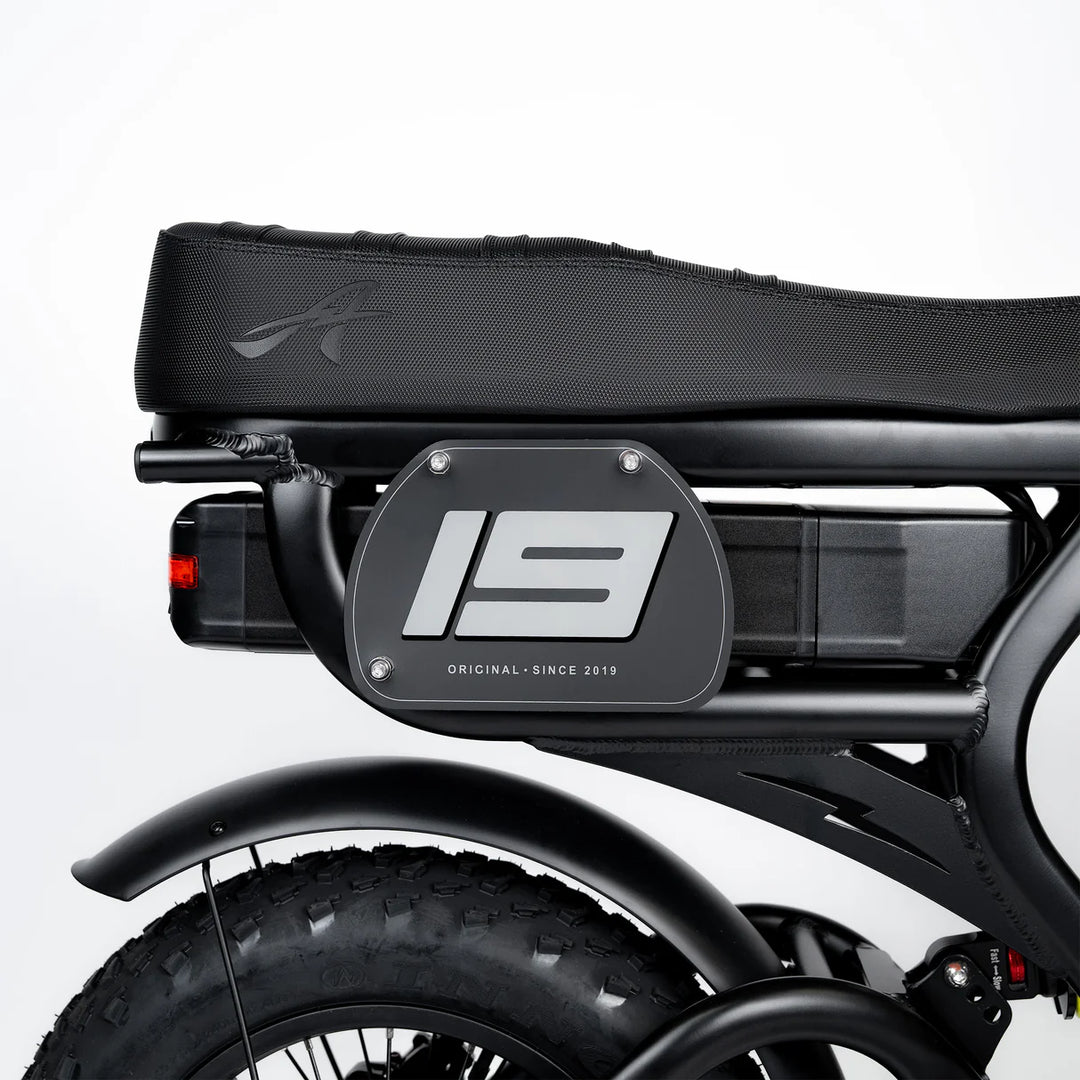 ACE-X Mini Pro Series 5 Electric Bike
