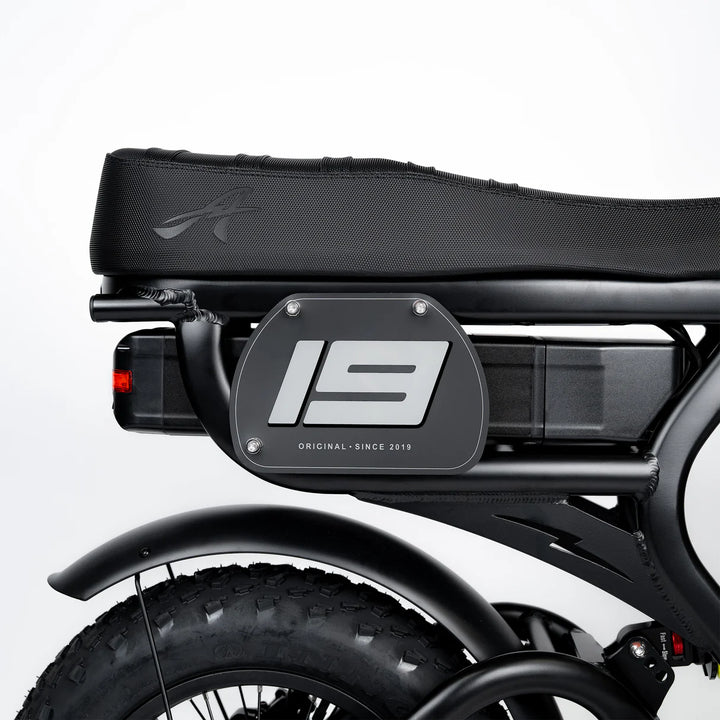 ACE-X Mini Pro Series 5 Electric Bike