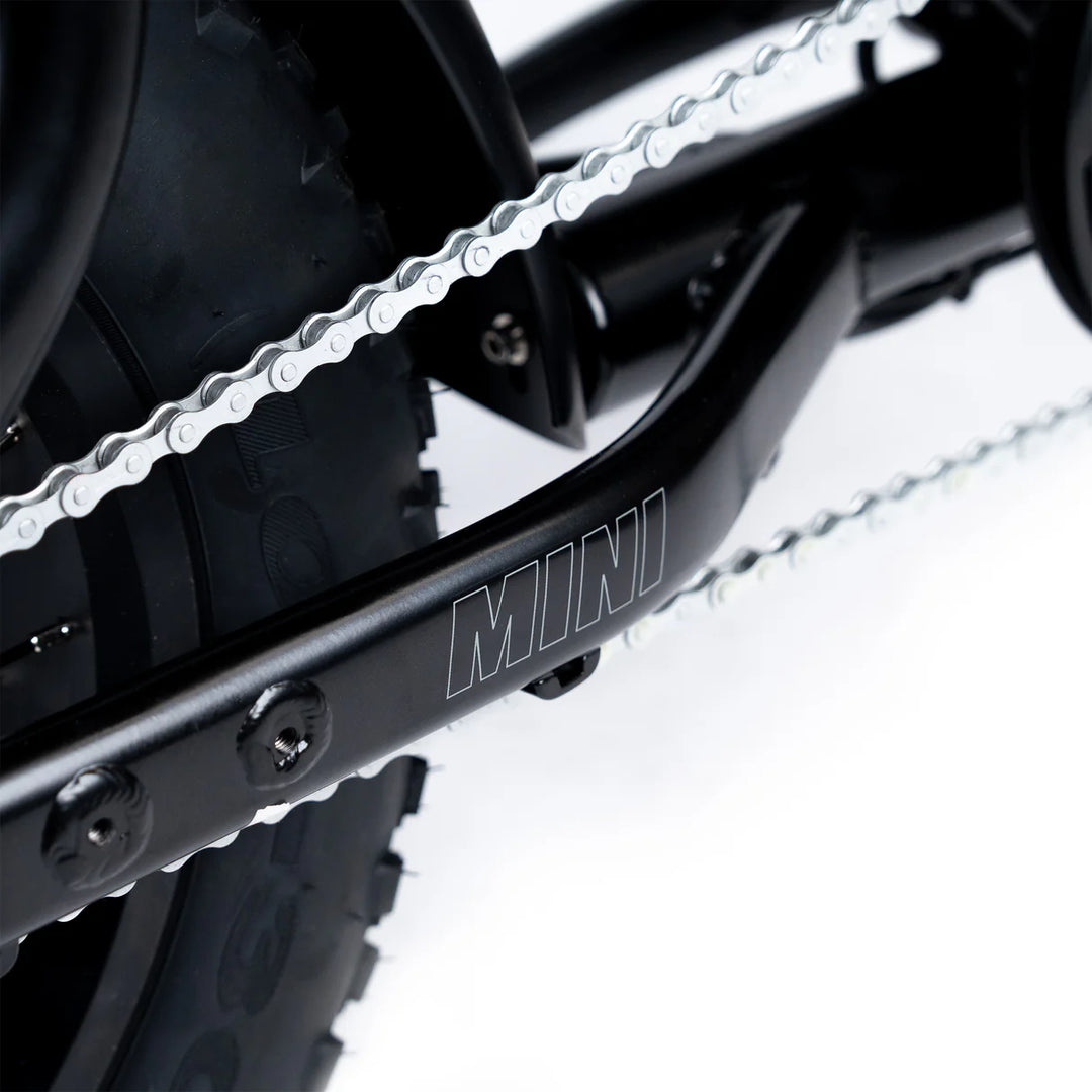 ACE-S Mini Series 5 Electric Bike