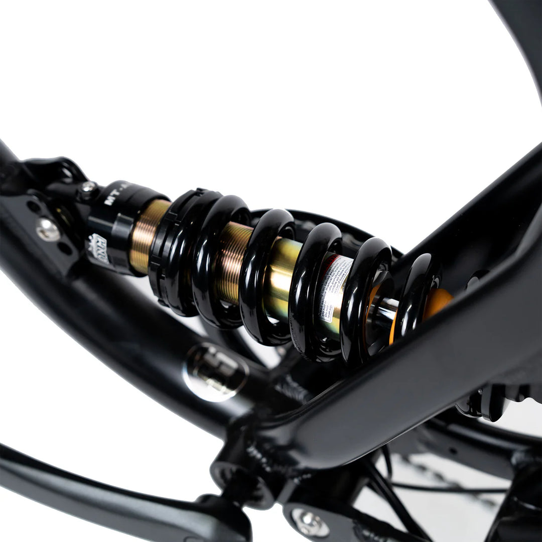ACE-X DEMON Series 5 Dual Motor Electric Bike