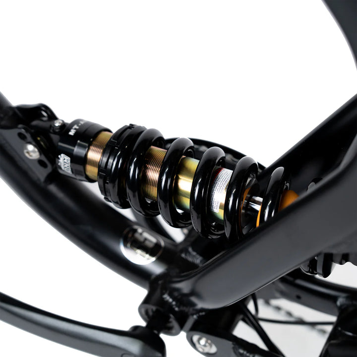ACE-X DEMON Series 5 Dual Motor Electric Bike