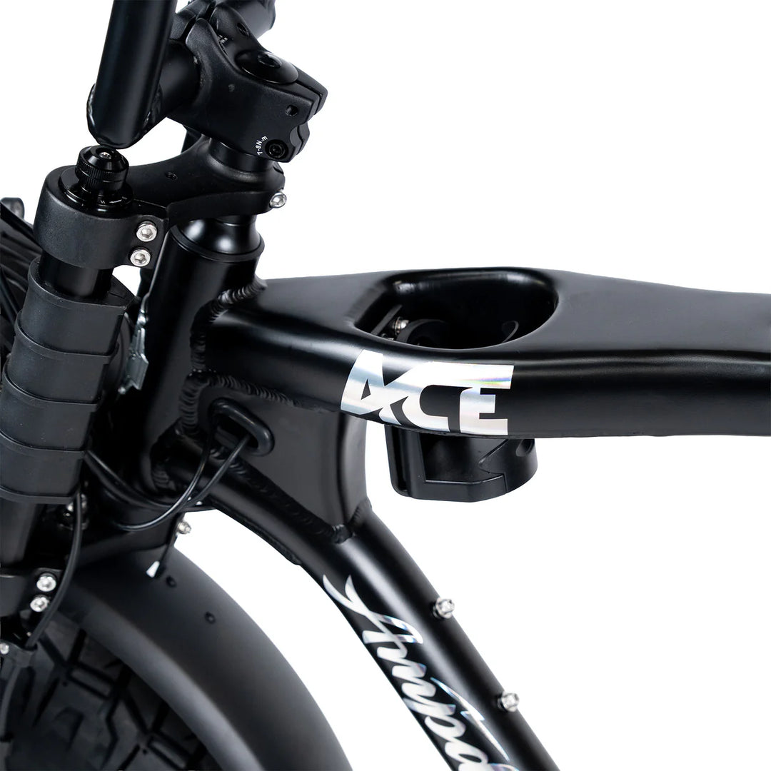 ACE-X DEMON Series 5 Dual Motor Electric Bike