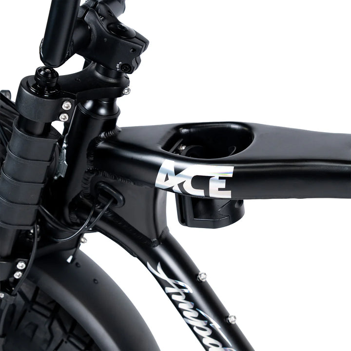 ACE-X DEMON Series 5 Dual Motor Electric Bike
