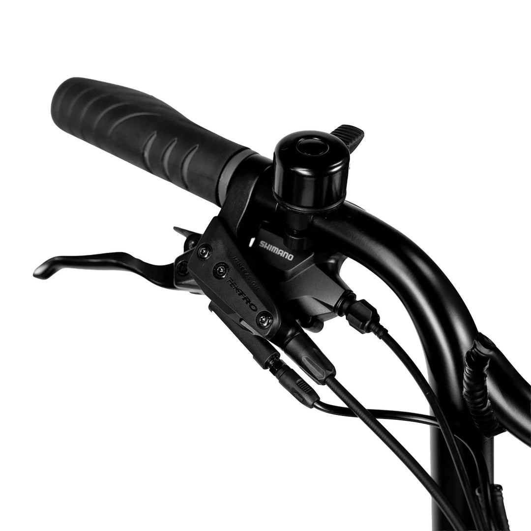 ACE-X DEMON Series 5 Dual Motor Electric Bike