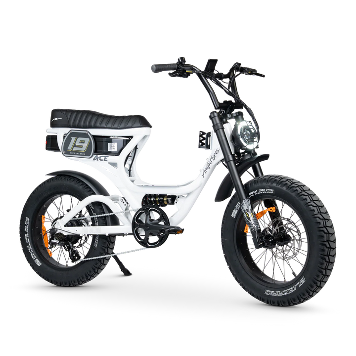 ACE-S Pro Series 5 Electric Bike Ice White