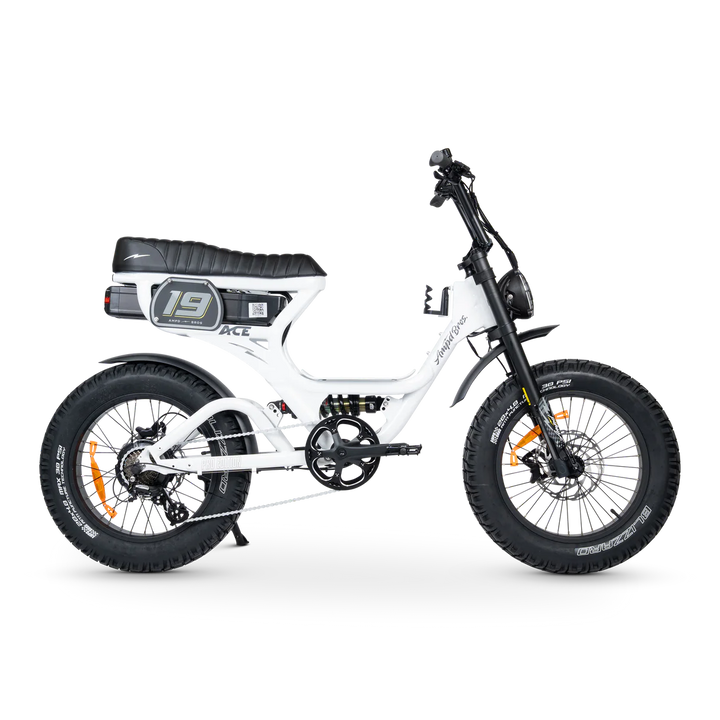 ACE-S Pro Series 5 Electric Bike