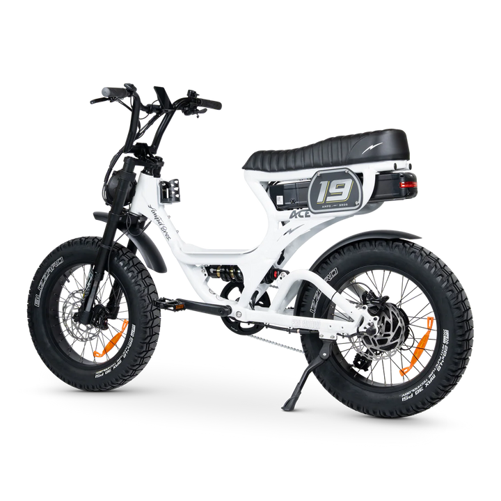 ACE-S Pro Series 5 Electric Bike