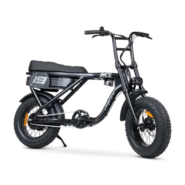 ACE-X Mini Series 5 Electric Bike