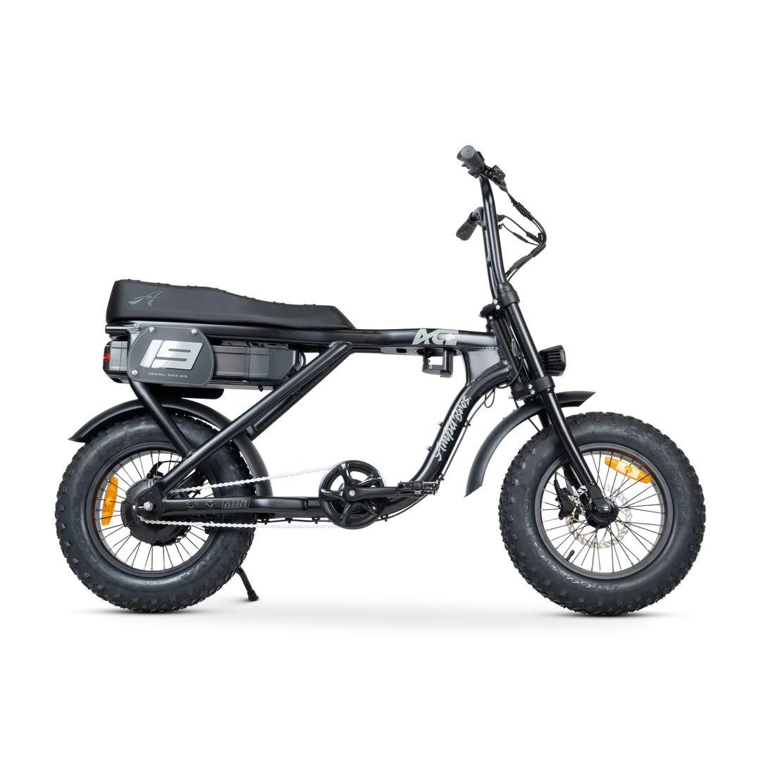ACE-X Mini Series 5 Electric Bike