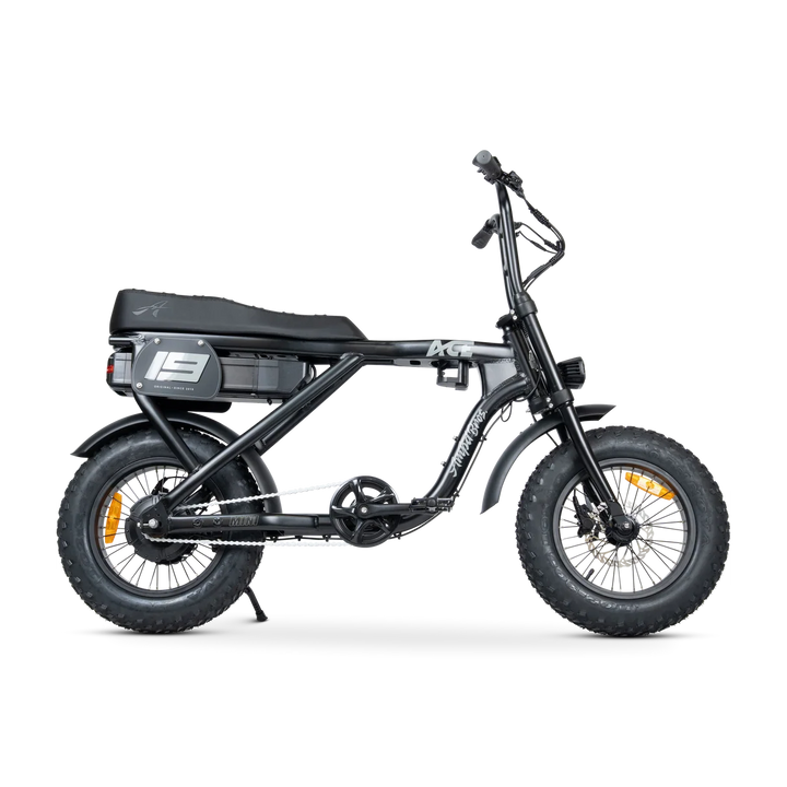 ACE-X Mini Series 5 Electric Bike