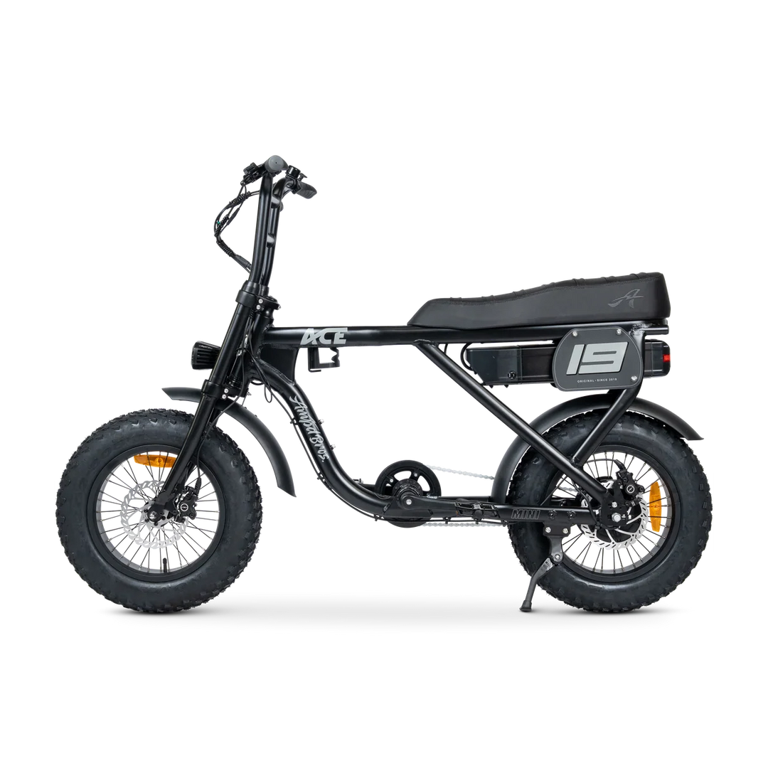 ACE-X Mini Series 5 Electric Bike