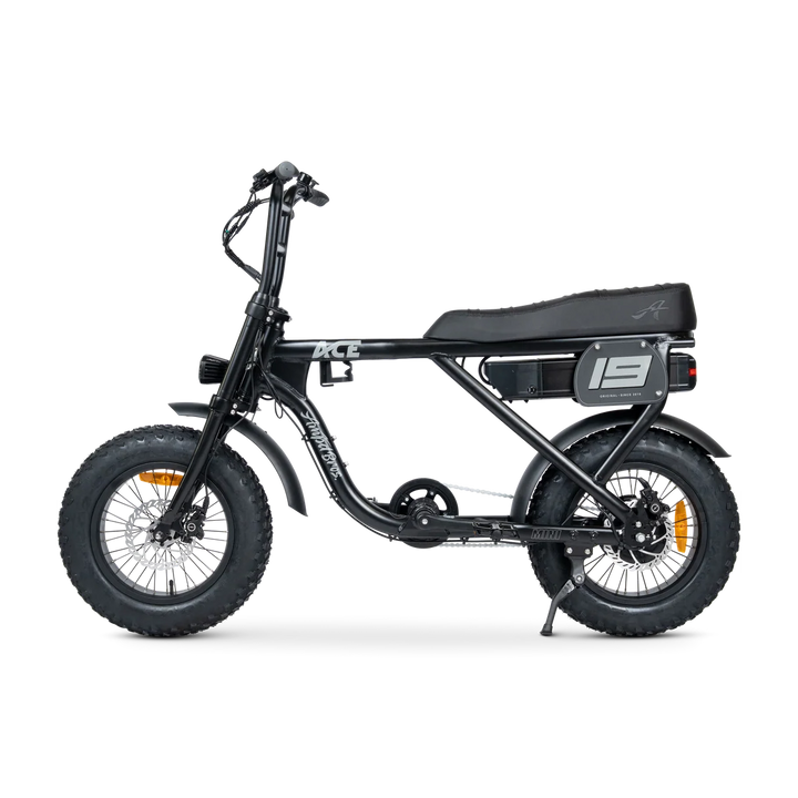 ACE-X Mini Series 5 Electric Bike