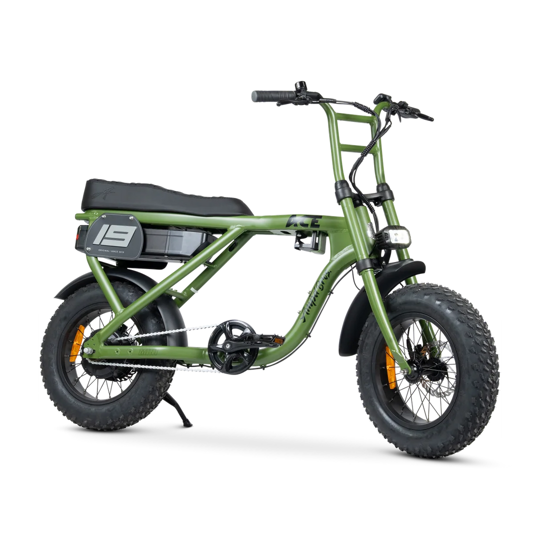 ACE-X Mini Series 5 Electric Bike