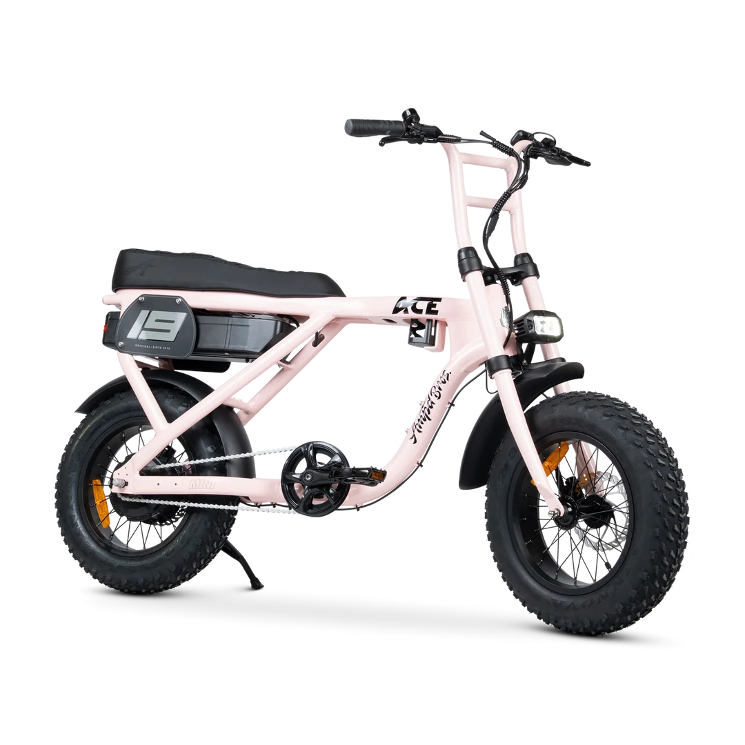 ACE-X Mini Series 5 Electric Bike