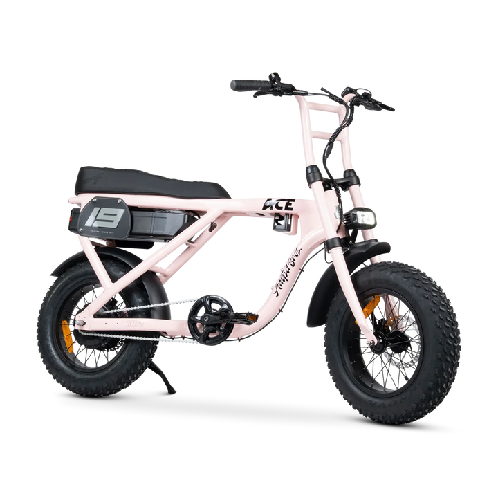 ACE-X Mini Series 5 Electric Bike