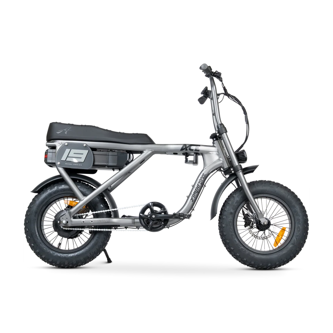 ACE-X Mini Series 5 Electric Bike