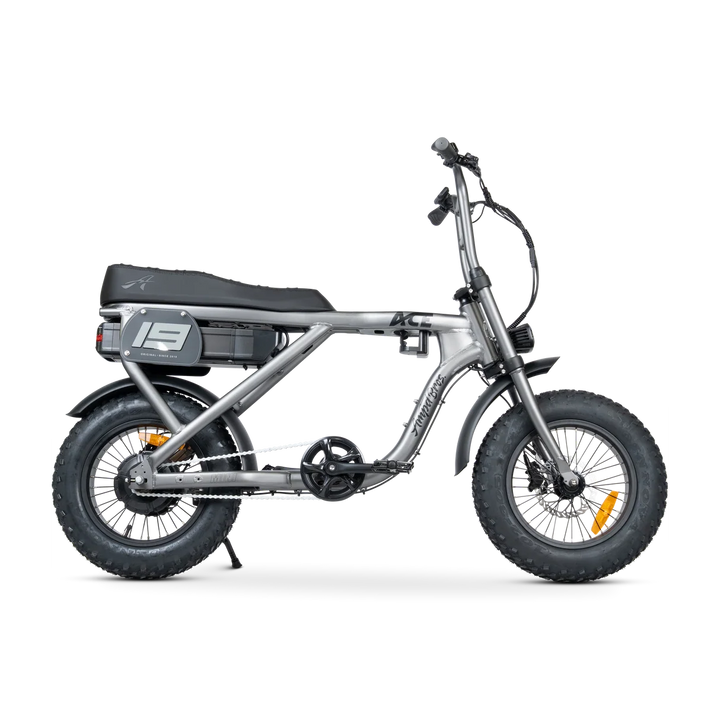 ACE-X Mini Series 5 Electric Bike
