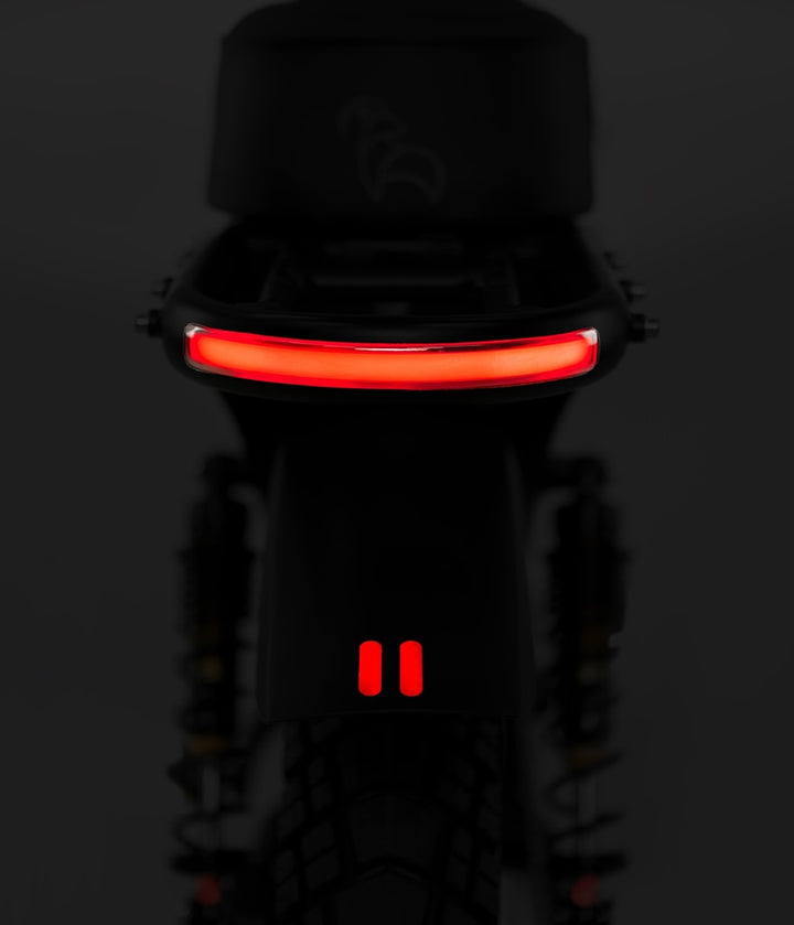 Dirodi Rover Pro Retro Fat Tyre Electric Bike