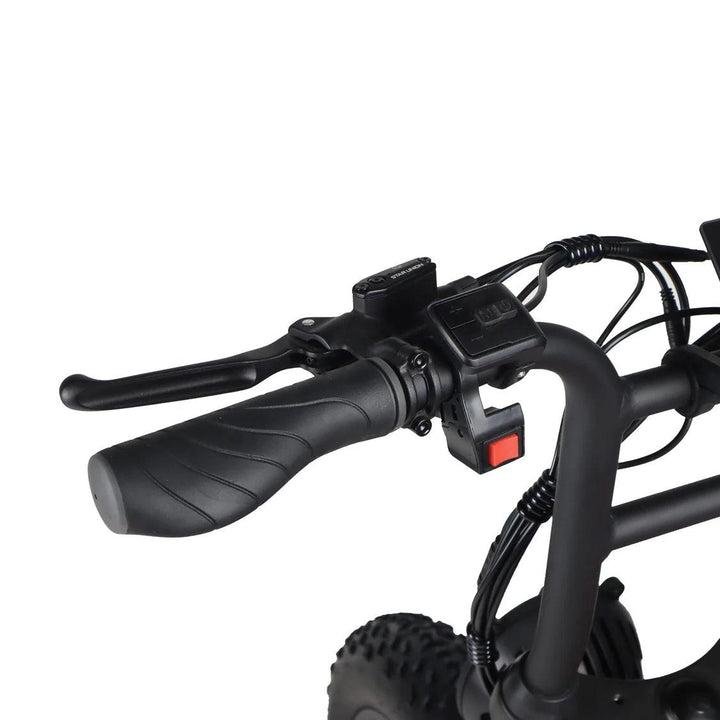 ACE-X DEMON Dual Motor Electric Bike