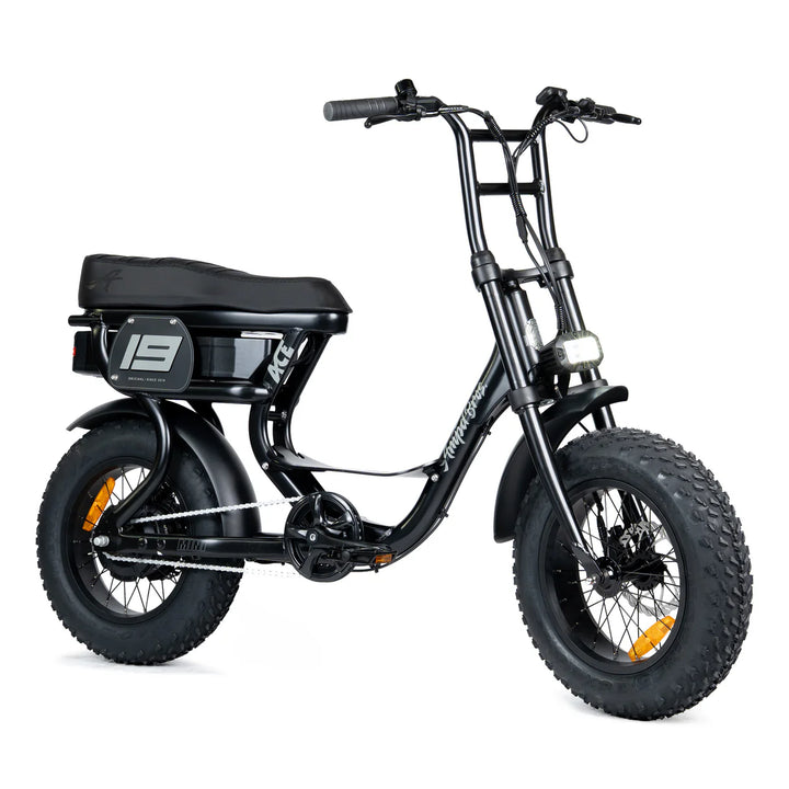 ACE-S Mini Series 5 Electric Bike
