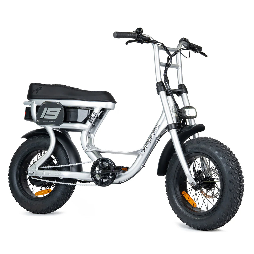 ACE-S Mini Series 5 Electric Bike