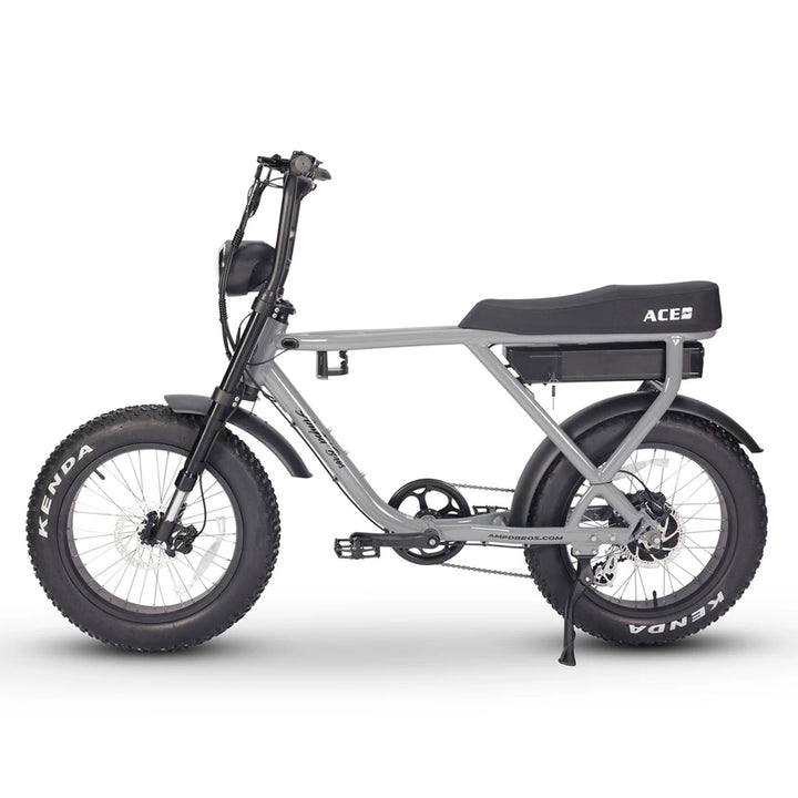 Ace-X Plus+ Electric Bike