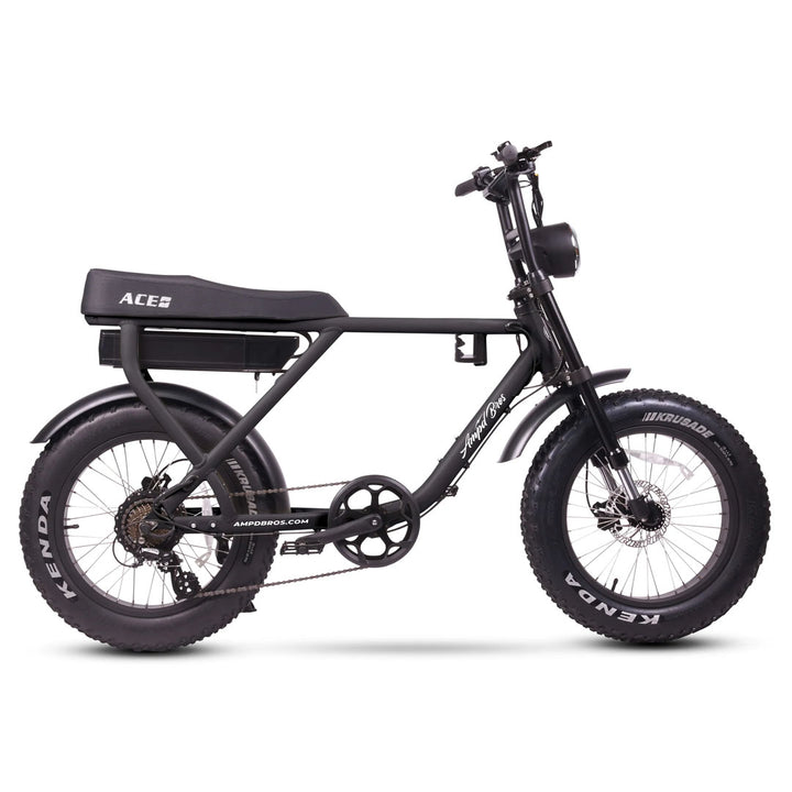 Ace-X Plus+ Electric Bike