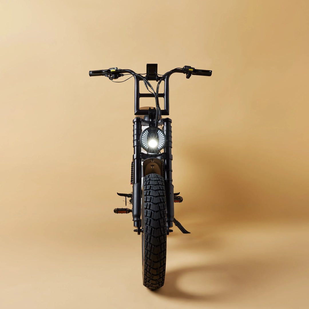 Cruzr SWELL 2026 Electric Bike